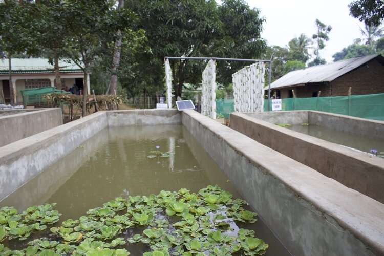 Aqua farming basin - AddOn to water treatment plant by Water-Kiosk.org